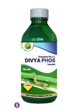 DIVYAPHOS 