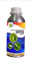 DITO 