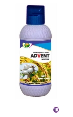 ADVENT 