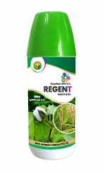 REGENT 