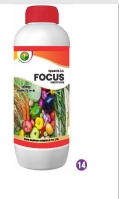 FOCUS 