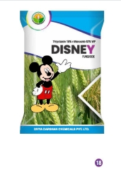 DISENY 
