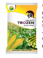 TROZEN 
