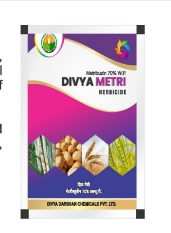 DIVYA METRI 