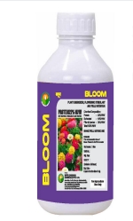 BLOOM 